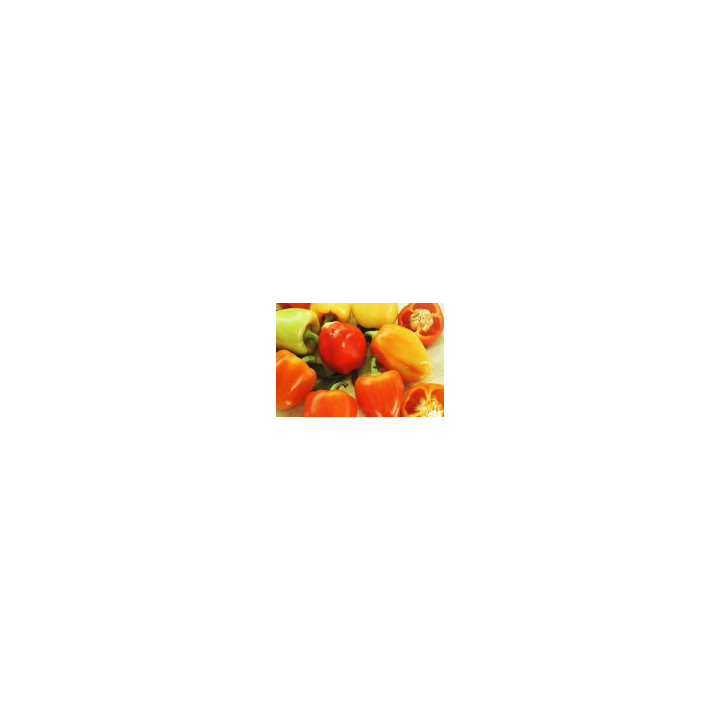ЛАДА