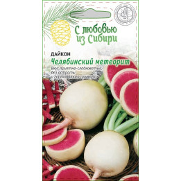ЧЕЛЯБИНСКИЙ МЕТЕОРИТ