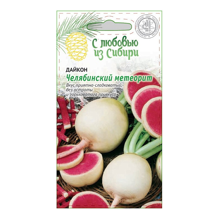 ЧЕЛЯБИНСКИЙ МЕТЕОРИТ