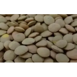 ВЕХОВСКАЯ