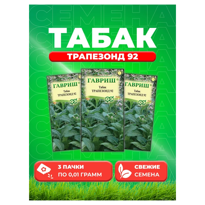 ТРАПЕЗОНД 162