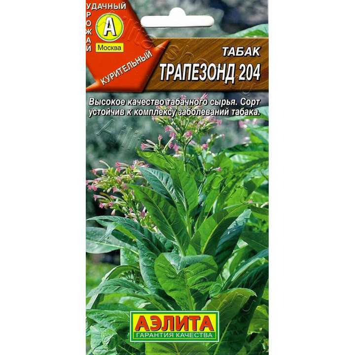ТРАПЕЗОНД 204