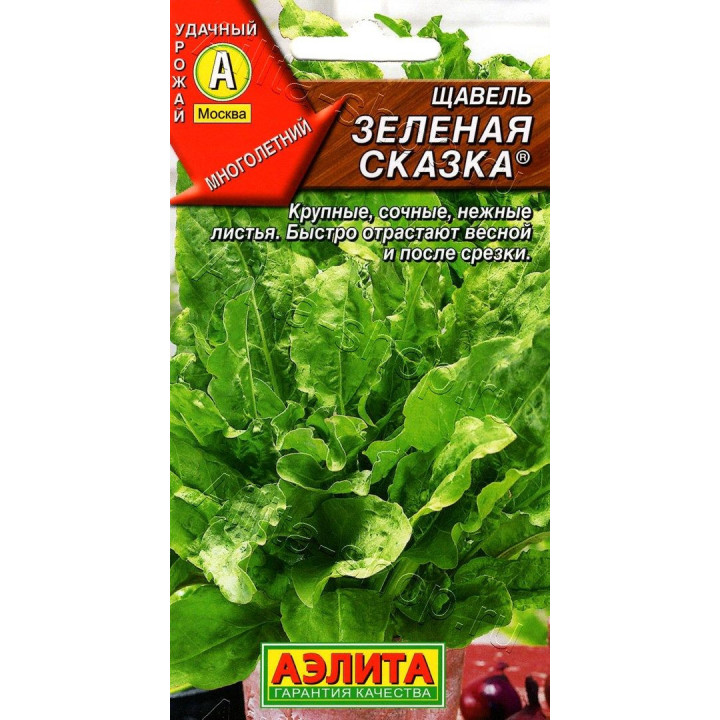 ЗЕЛЕНАЯ СКАЗКА
