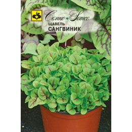 САНГВИНИК