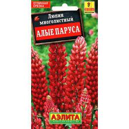 АЛЫЙ ПАРУС