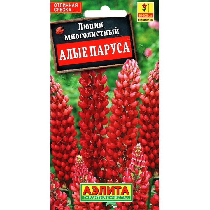 АЛЫЙ ПАРУС