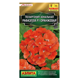 ОРАНЖЕВОЕ ПЛАМЯ