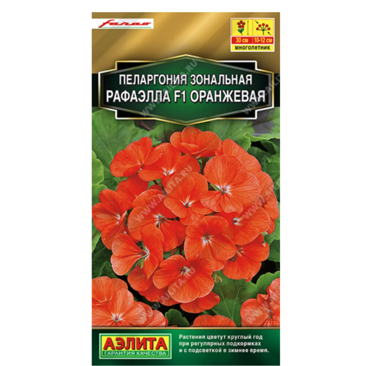 ОРАНЖЕВОЕ ПЛАМЯ