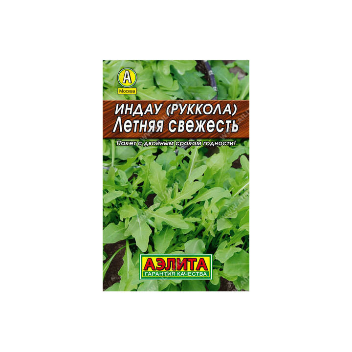 ЛЕТНЯЯ СВЕЖЕСТЬ