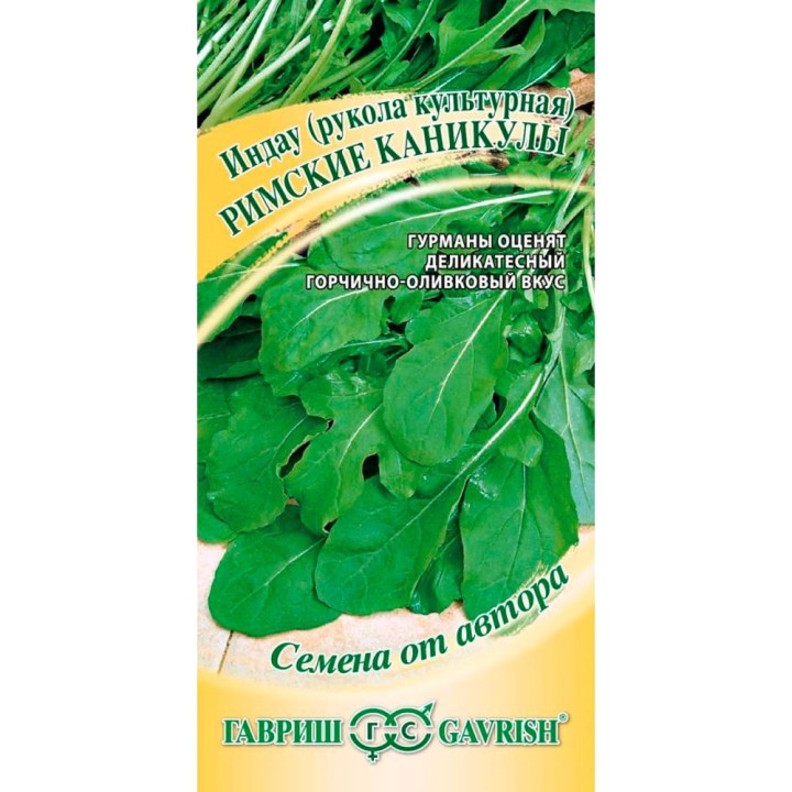 РИМСКИЕ КАНИКУЛЫ