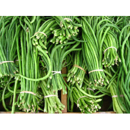 АЗИЯ
