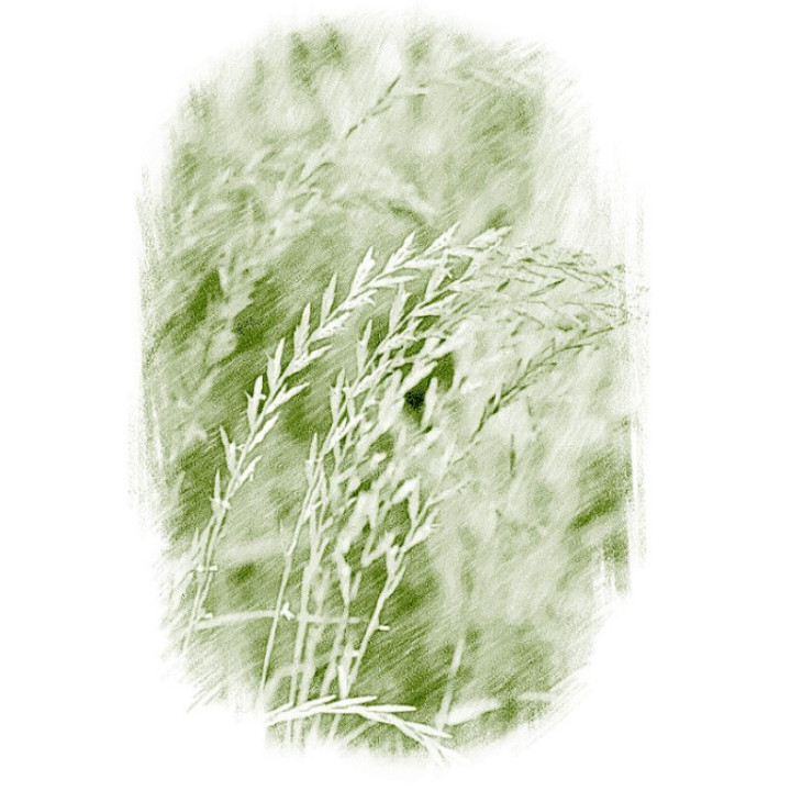 УДЗЯЧНЫ