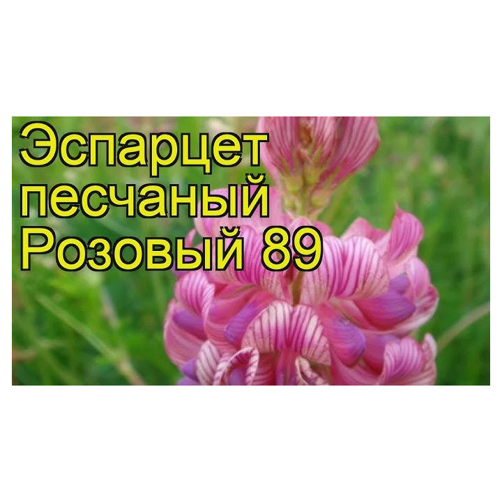РОЗОВЫЙ 89