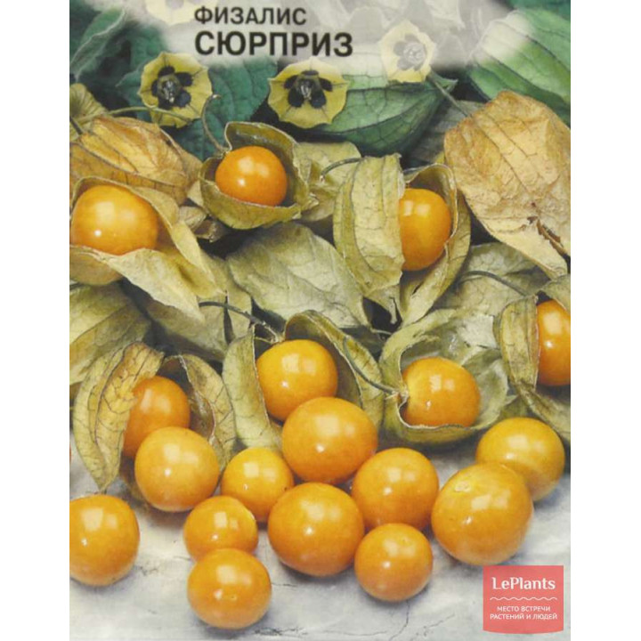 СЮРПРИЗ