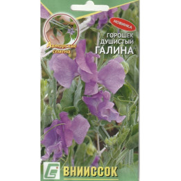 ГАЛИНА