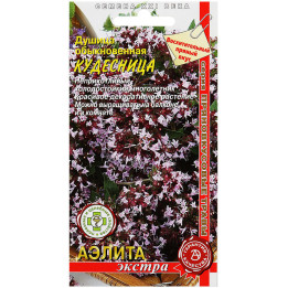 КУДЕСНИЦА