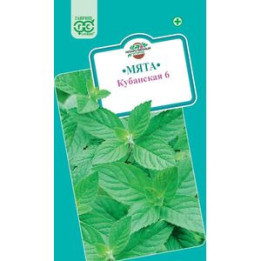 КУБАНСКАЯ 6