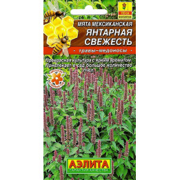 ЯНТАРНАЯ