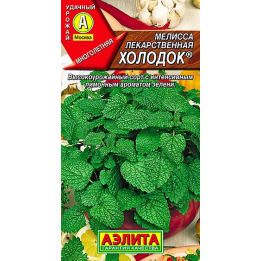 ХОЛОДОК