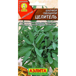 ЦЕЛИТЕЛЬ
