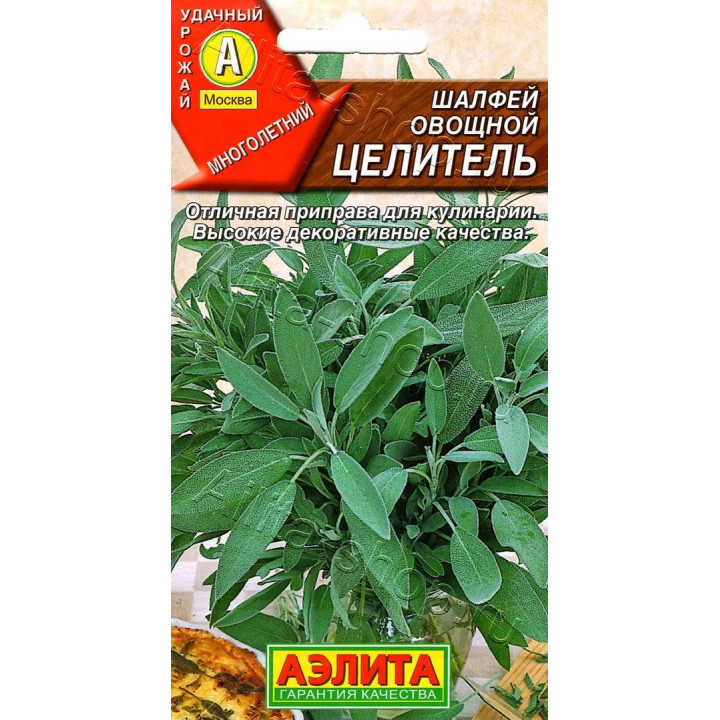 ЦЕЛИТЕЛЬ