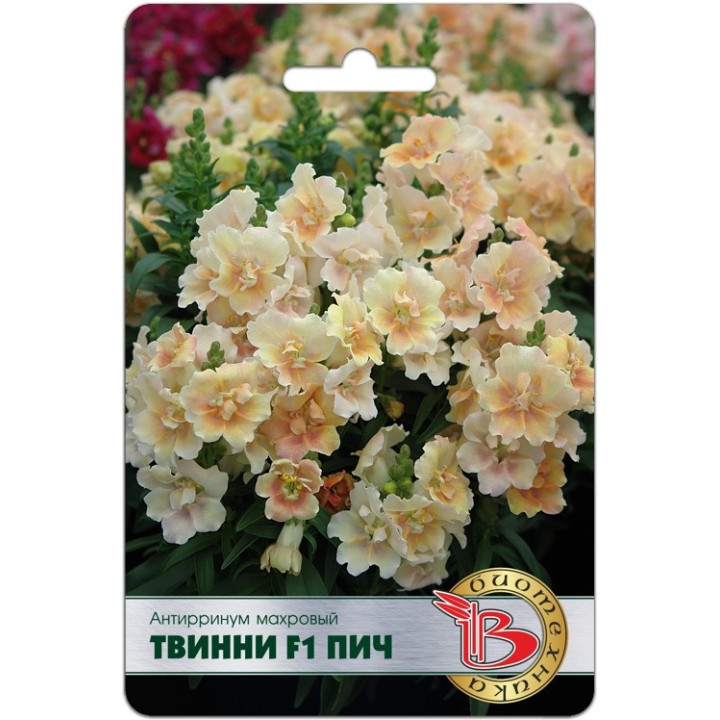 СОЛНЕЧНЫЙ ВОСХОД