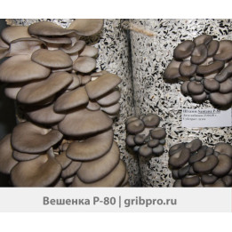 АГРО Р 802