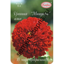 МИШУТКА АЛАЯ