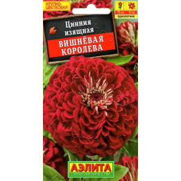 ВИШНЕВАЯ КОРОЛЕВА