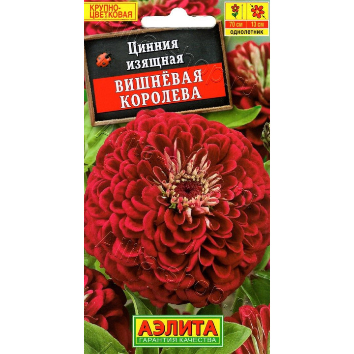 ВИШНЕВАЯ КОРОЛЕВА