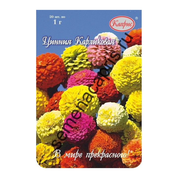 МАЛЫШКА