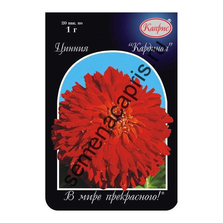 КАРДИНАЛ