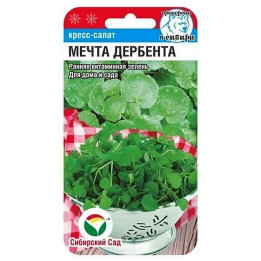 МЕЧТА ДЕРБЕНТА