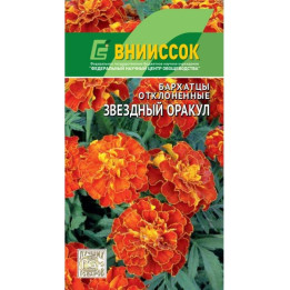 ЗВЕЗДНЫЙ ОРАКУЛ