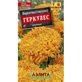 ГЕРКУЛЕС