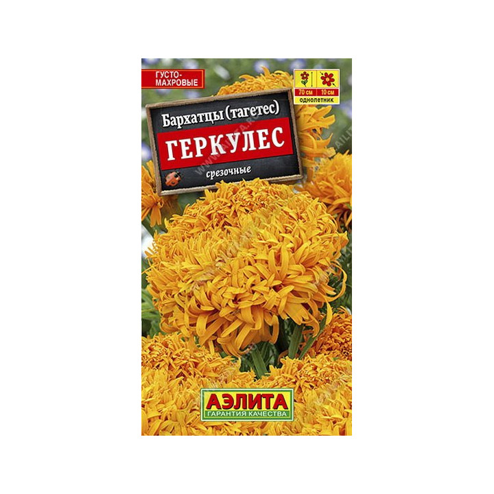 ГЕРКУЛЕС