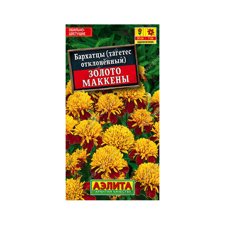 ЗОЛОТО МАККЕНЫ