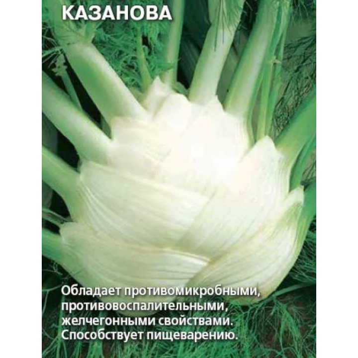 КАЗАНОВА