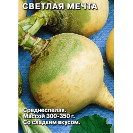 СВЕТЛАЯ МЕЧТА