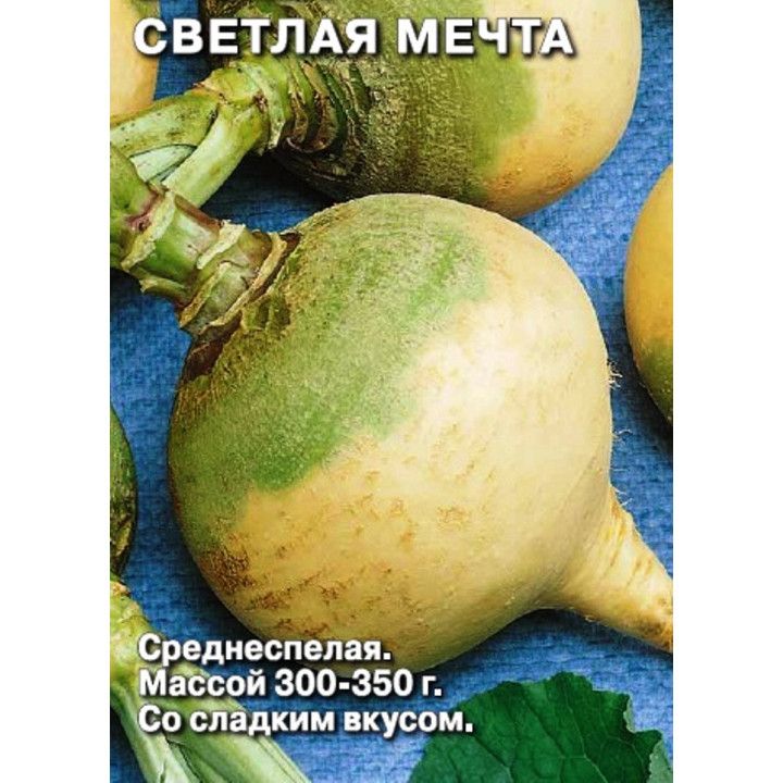 СВЕТЛАЯ МЕЧТА