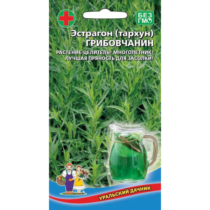 ГРИБОВЧАНИН