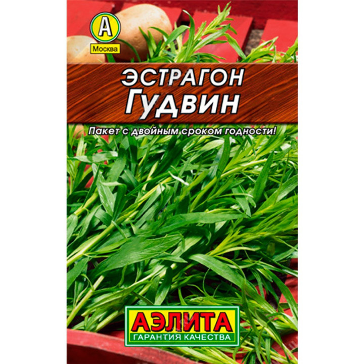 ГУДВИН