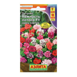 РУССКИЙ СИТЕЦ