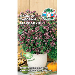 МАРДАКУШ