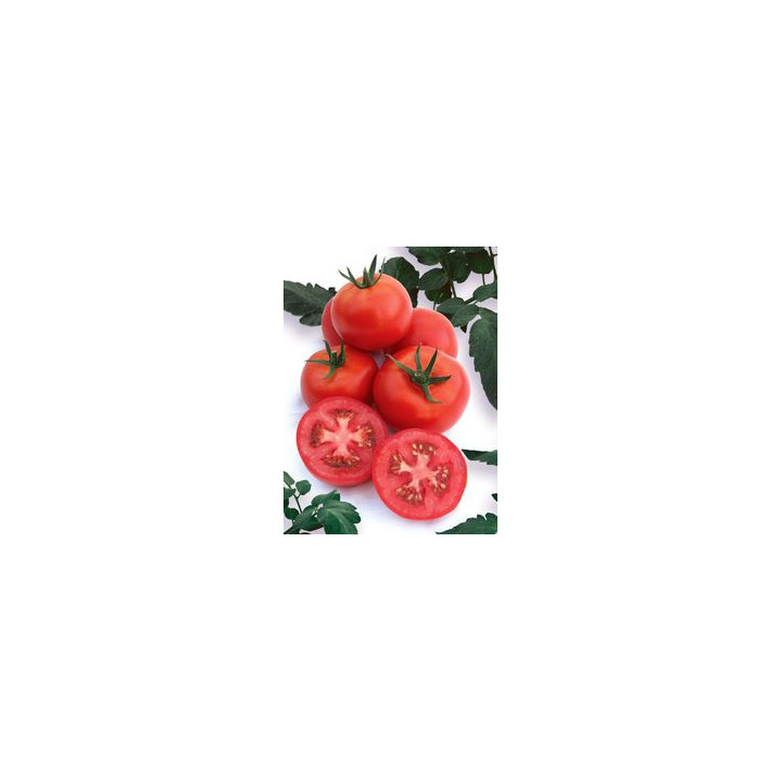 Гламур F1