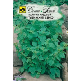ТУШИНСКИЙ СЕМКО