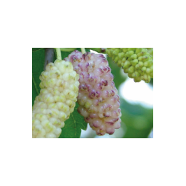 К 19