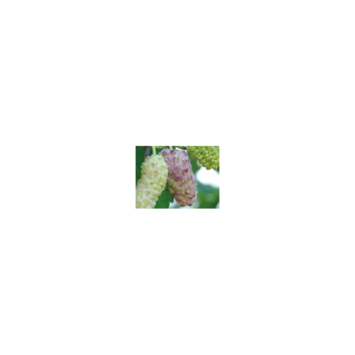 К 19