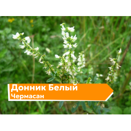 ЧЕРМАСАН