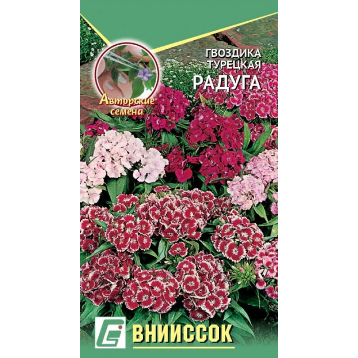 РАДУГА